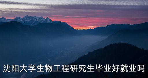 沈陽大學(xué)研究生，在沈陽大學(xué)讀研究生每年多少錢公費(fèi)自費(fèi)的都要