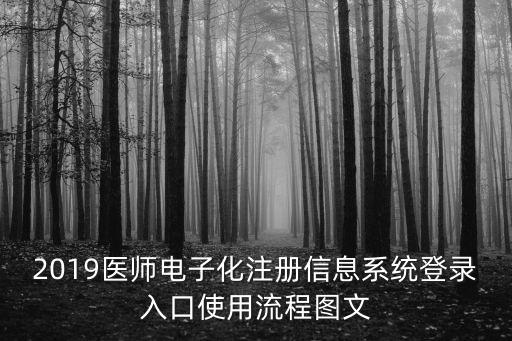 2019醫師電子化注冊信息系統登錄入口使用流程圖文