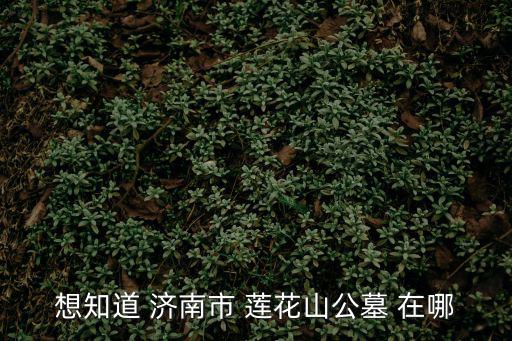想知道 濟南市 蓮花山公墓 在哪