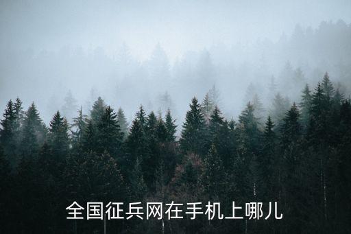 全國征兵網在手機上哪兒