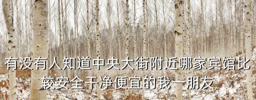中央大街附近賓館，有沒有人知道中央大街附近哪家賓館比較安全干凈便宜的我一朋友