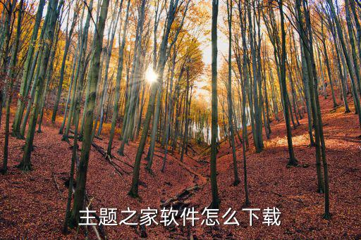 主題之家軟件怎么下載