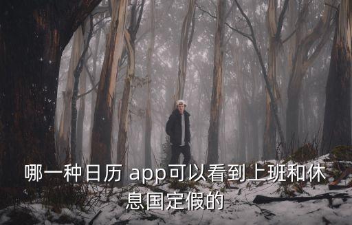 上班日歷，哪一種日歷 app可以看到上班和休息國定假的