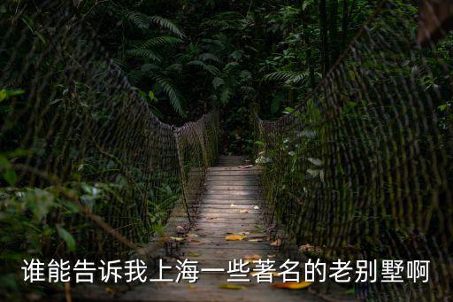 誰能告訴我上海一些著名的老別墅啊