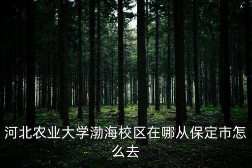 河北農業大學渤海校區在哪從保定市怎么去