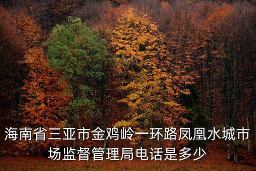 海南省三亞市金雞嶺一環路鳳凰水城市場監督管理局電話是多少
