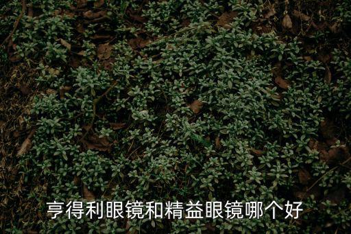 亨得利眼鏡和精益眼鏡哪個(gè)好