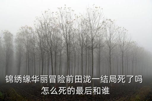 前田瀧一，錦繡緣華麗冒險前田瀧一結局死了嗎 怎么死的最后和誰