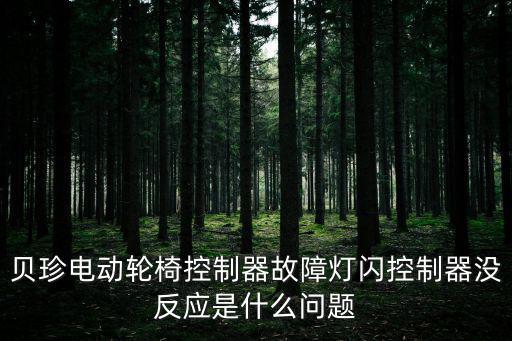貝珍電動輪椅，上海貝珍電動輪椅車充電器插電時綠燈亮接上電瓶燈不亮了為什么百度