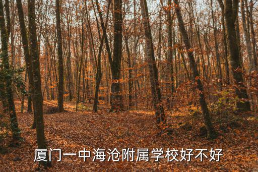 廈門一中海滄附屬學校好不好