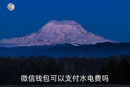 微信怎么交水費，微信錢包可以支付水電費嗎