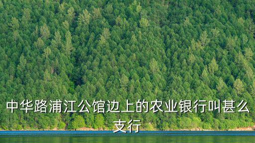 浦江公館，中華路浦江公館邊上的農業銀行叫甚么支行