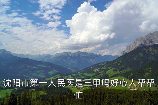 沈陽市第一人民醫是三甲嗎好心人幫幫忙