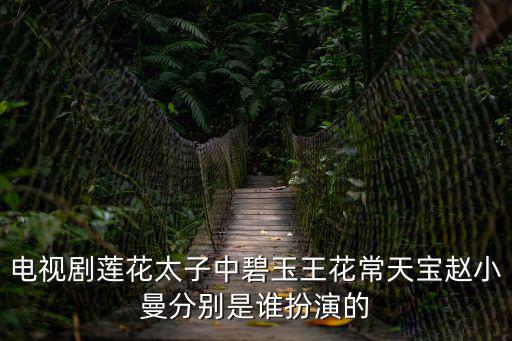 電視劇蓮花太子中碧玉王花常天寶趙小曼分別是誰扮演的