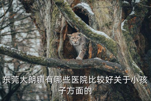 東莞大朗鎮(zhèn)有哪些醫(yī)院比較好關(guān)于小孩子方面的