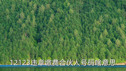 12123是什么電話，12123違章繳費合伙人號碼啥意思