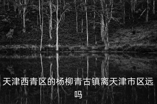 天津西青區的楊柳青古鎮離天津市區遠嗎