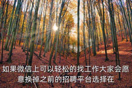 如果微信上可以輕松的找工作大家會愿意換掉之前的招聘平臺選擇在