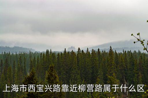 上海市西寶興路靠近柳營路屬于什么區