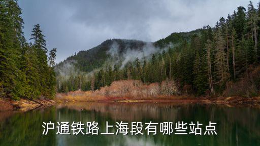 滬通鐵路上海段有哪些站點