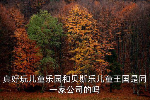 真好玩兒童樂園和貝斯樂兒童王國是同一家公司的嗎