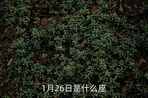 1月26日是什么座