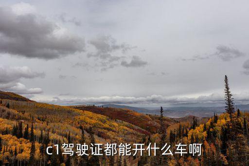 c1駕駛證都能開什么車啊