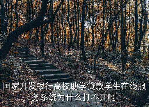 國家開發(fā)銀行高校助學(xué)貸款學(xué)生在線服務(wù)系統(tǒng)為什么打不開啊