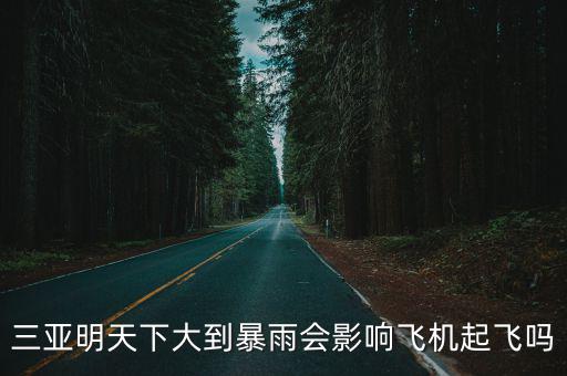 三亞明天下大到暴雨會影響飛機起飛嗎