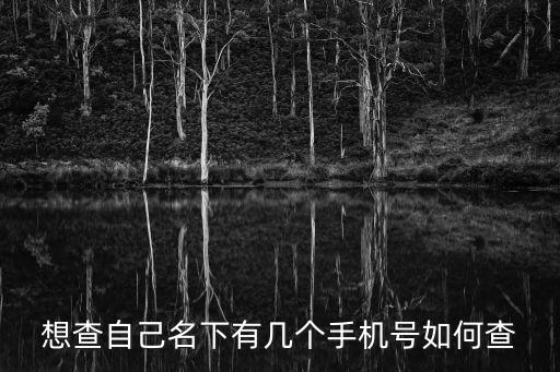 想查自己名下有幾個手機(jī)號如何查