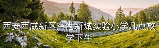 西安西咸新區空港新城實驗小學幾點放學下午