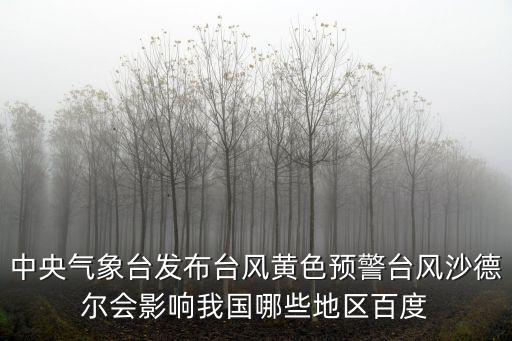臺風沙德爾，求bindschadler這個詞的翻譯