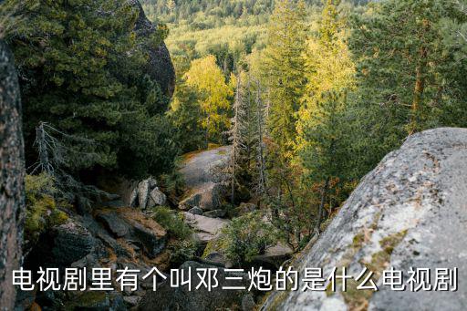 電視劇里有個叫鄧三炮的是什么電視劇