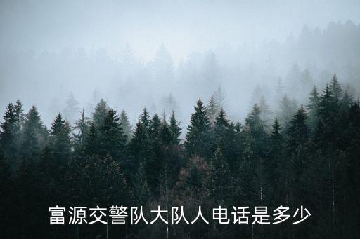 富源交警隊大隊人電話是多少