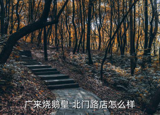 廣來燒鵝皇 北門路店怎么樣