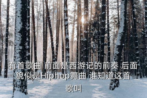 有首歌曲 前面是西游記的前奏 后面貌似是Hiphop舞曲 誰知道這首歌叫