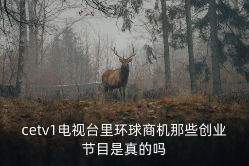 cetv1電視臺里環球商機那些創業節目是真的嗎