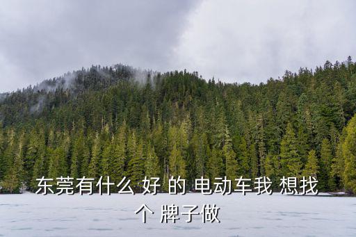 東莞有什么 好 的 電動車我 想找個 牌子做