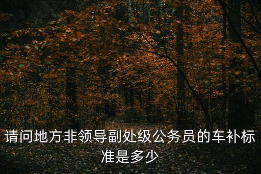 請問地方非領導副處級公務員的車補標準是多少