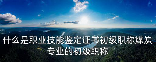 職業(yè)技能鑒定證書，什么是 職業(yè)技能鑒定證書和職業(yè)技能證書有什么區(qū)別我想查詢高