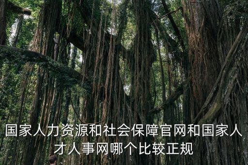 國家人力資源和社會保障官網和國家人才人事網哪個比較正規