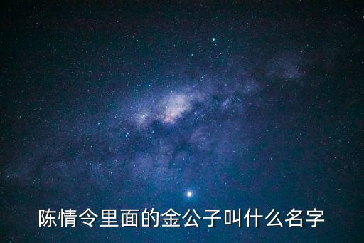 陳情令里面的金公子叫什么名字