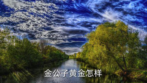 金公子黃金怎樣