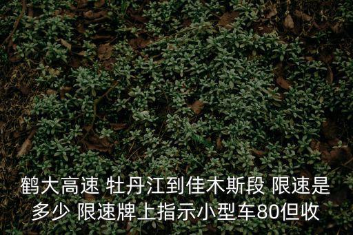 鶴大高速限速多少，鶴大高速丹東到通化段限速多少
