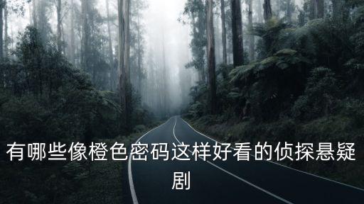 有哪些像橙色密碼這樣好看的偵探懸疑劇