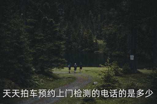 天天拍車電話，天天拍車預(yù)約上門檢測(cè)的電話的是多少