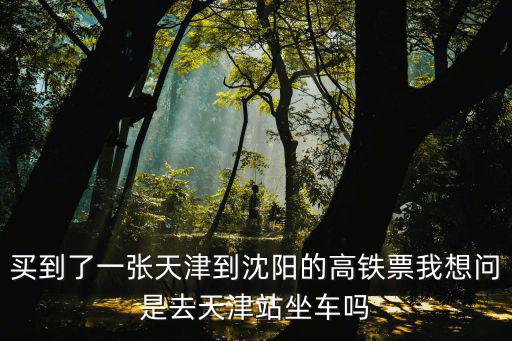買到了一張天津到沈陽的高鐵票我想問是去天津站坐車嗎