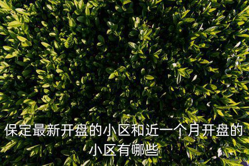 保定最新開盤的小區(qū)和近一個月開盤的小區(qū)有哪些