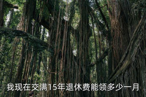 我現(xiàn)在交滿15年退休費(fèi)能領(lǐng)多少一月