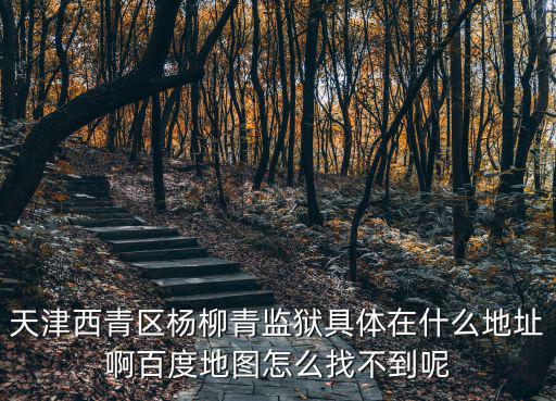 天津西青區楊柳青監獄具體在什么地址啊百度地圖怎么找不到呢